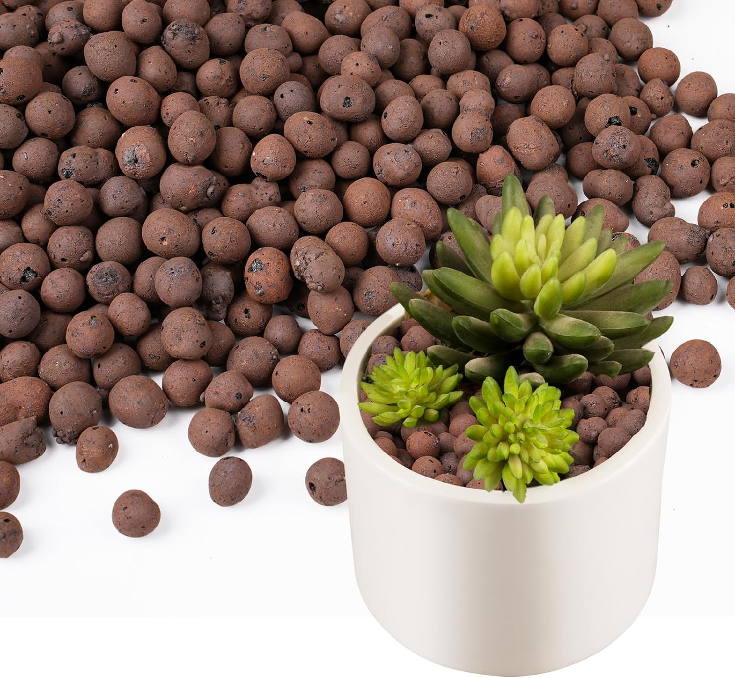 Sphagnum Moss Bag - 100/200G de Bolitas de Arcilla para