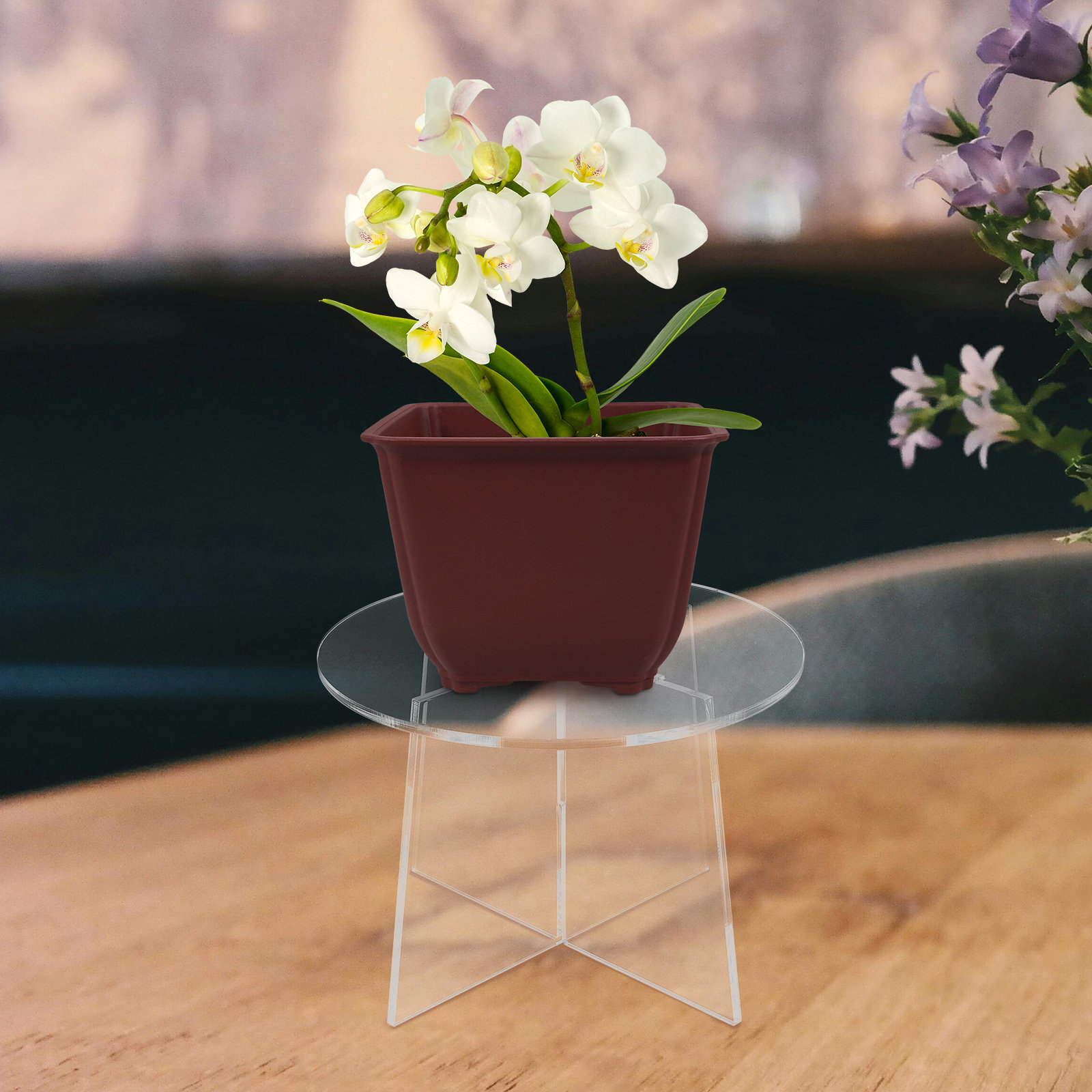 Bonsai Garden Display Stands - Soporte de acrílico para plantas, para