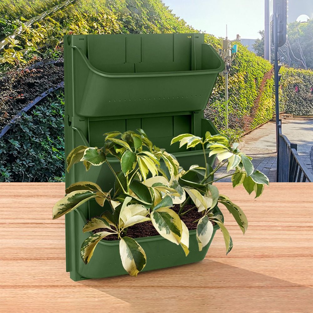 Maceta Colgante de Plástico pa - Bonsai Garden Wall reseña y precio