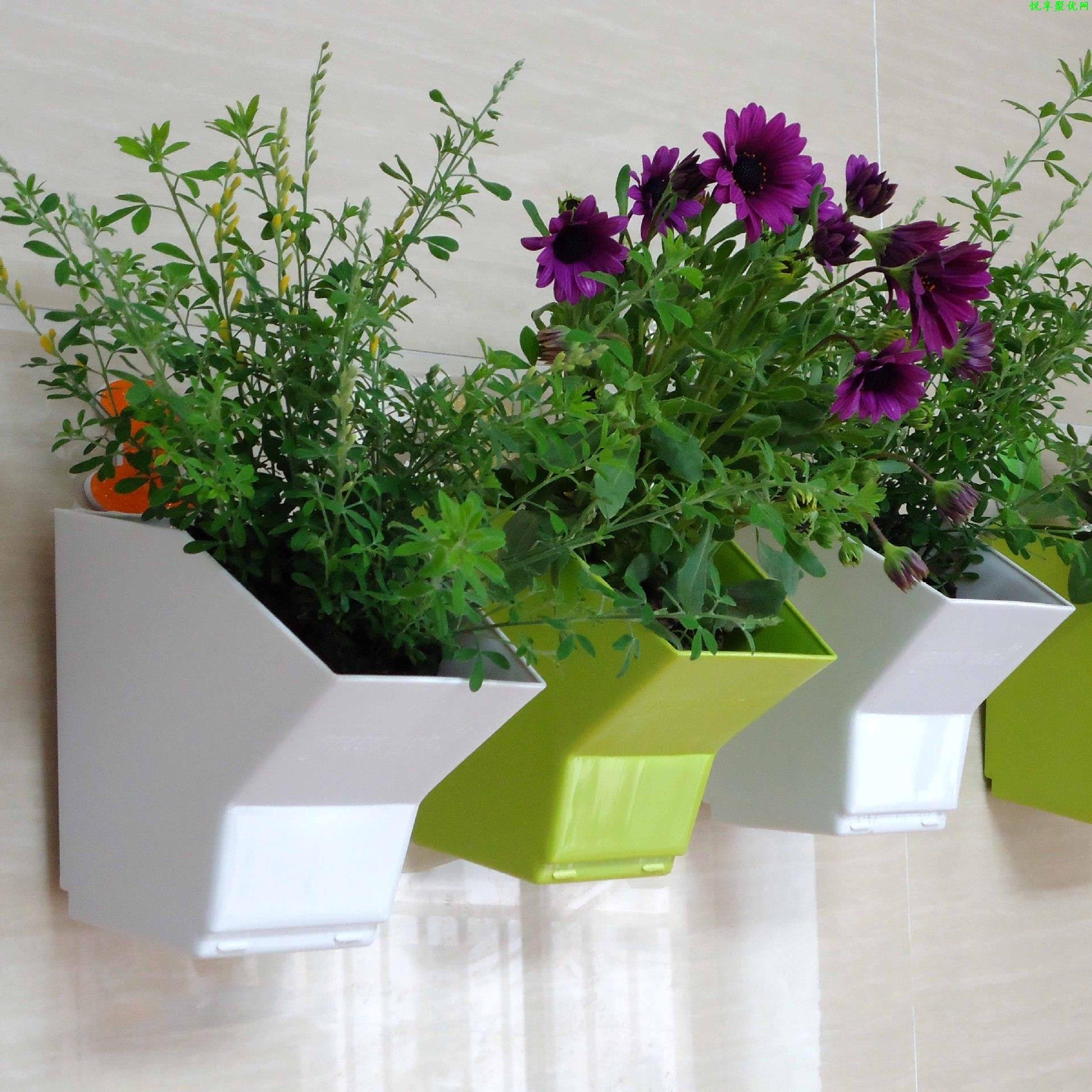 Maceta colgante de pared para  - Bonsai Garden Wall reseña y precio