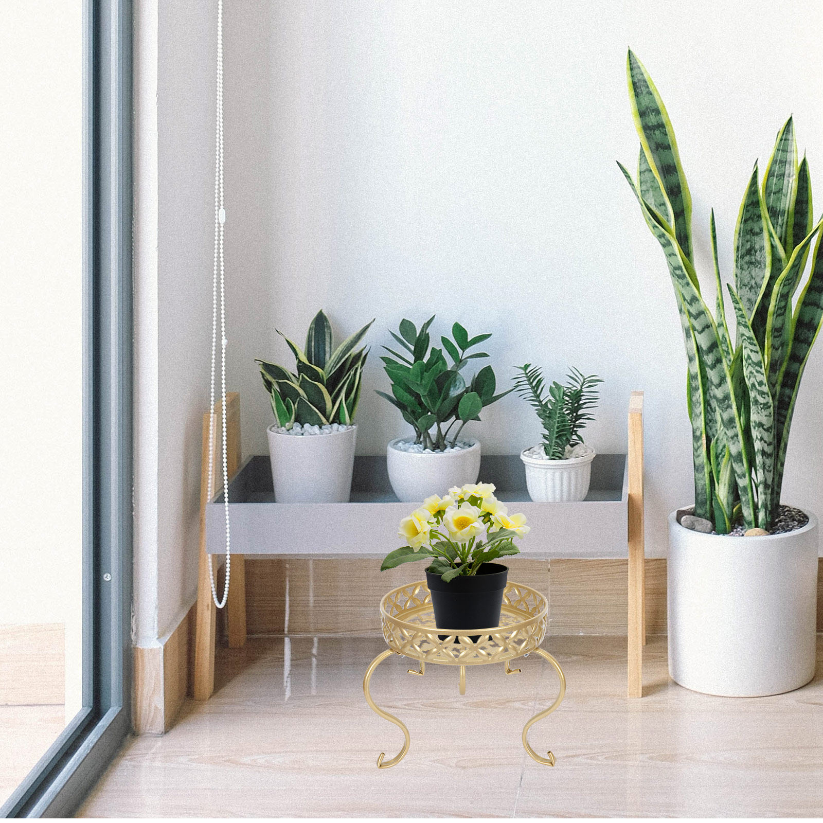Soporte de Hierro para Plantas - Bonsai Garden Display Stands reseña y precio