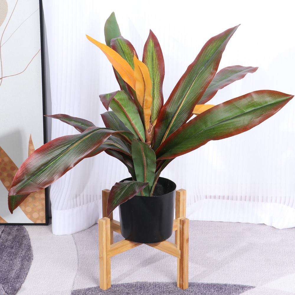 Soporte de madera para maceta, - Bonsai Garden Display Stands reseña y precio