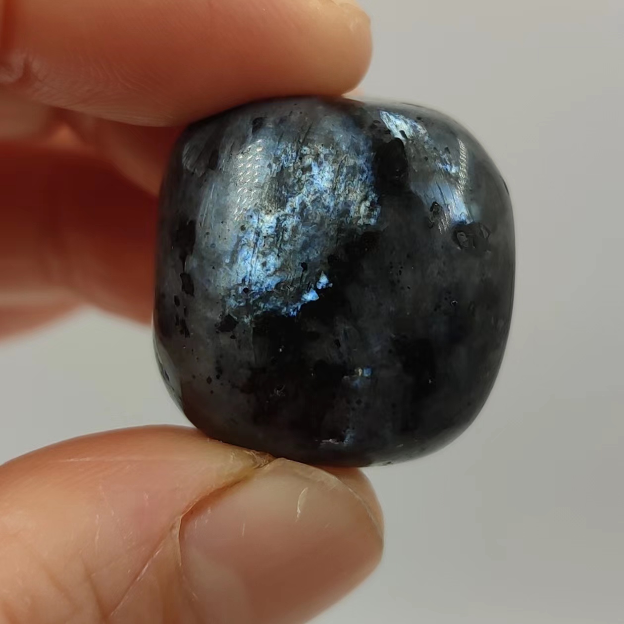 Larvicita Natural, piedras caí - Bonsai Rock Garden reseña y precio