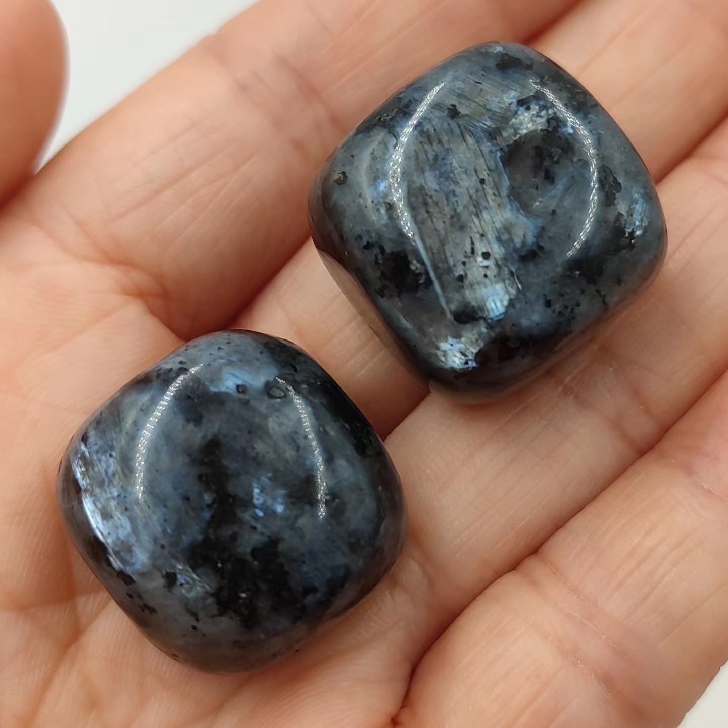 Larvicita Natural, piedras caí - Bonsai Rock Garden reseña y precio