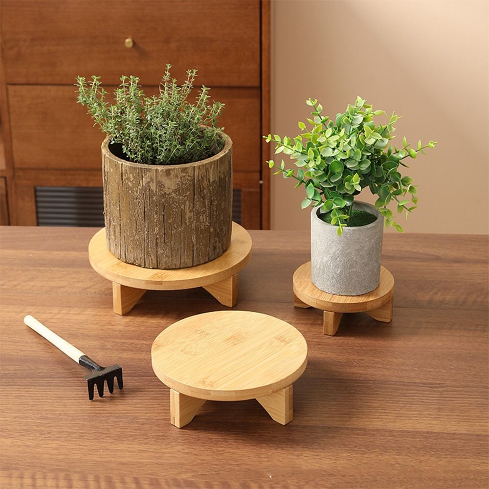Soporte de exhibición de bonsá - Bonsai Garden Display Stands reseña y precio