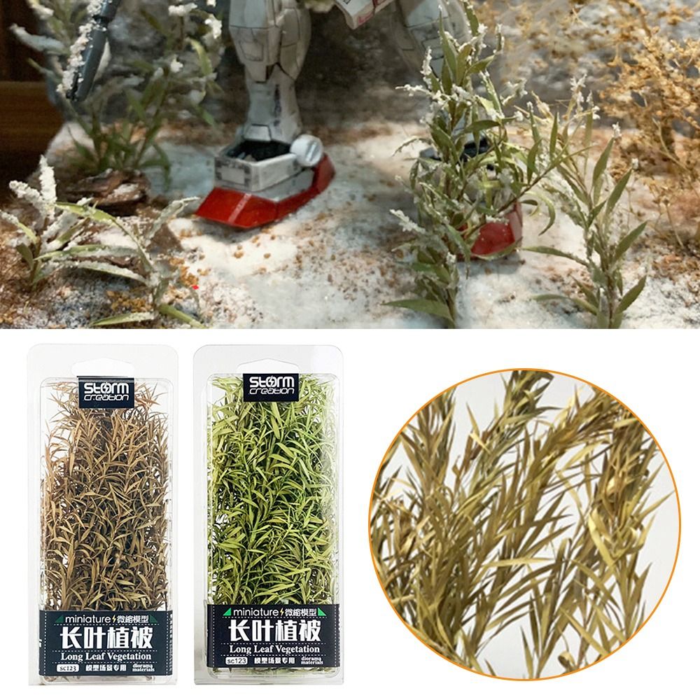 1 caja de regalo, modelo de es - Bonsai Rock Garden reseña y precio