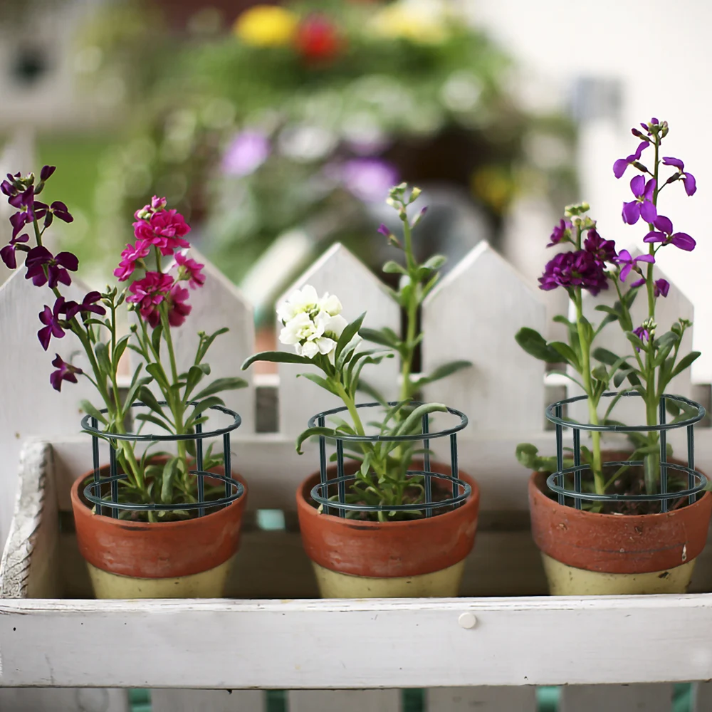 Soporte de Jaula para Plantas  - Bonsai Garden House reseña y precio