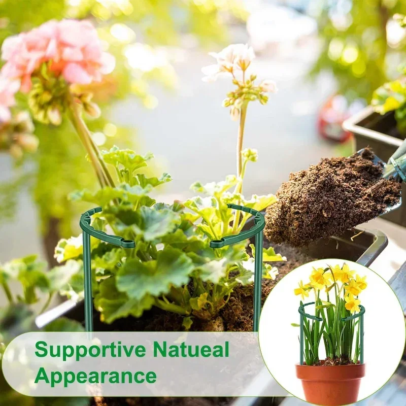 Soporte de Jaula para Plantas  - Bonsai Garden House reseña y precio