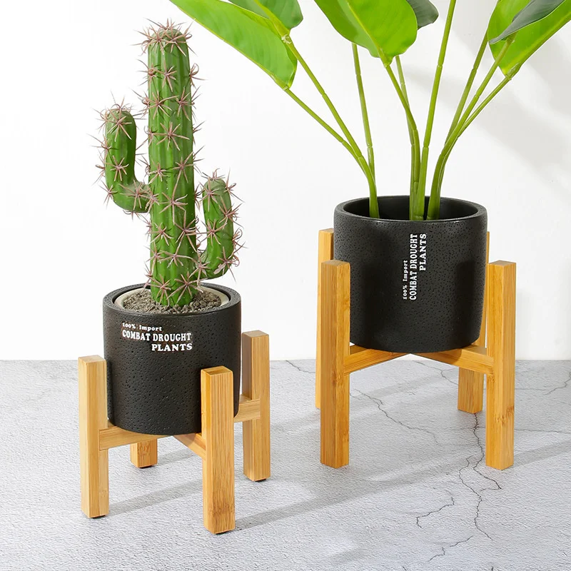 Soporte para maceta para plant - Bonsai Garden Display Stands reseña y precio