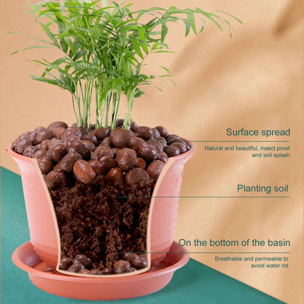 Cebros de arcilla para plantas - Sphagnum Moss Bag reseña y precio