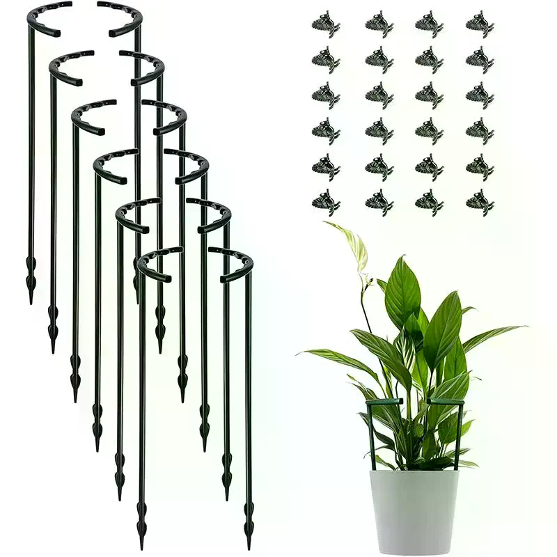 Jaula de Soporte para Plantas, - Bonsai Garden House reseña y precio