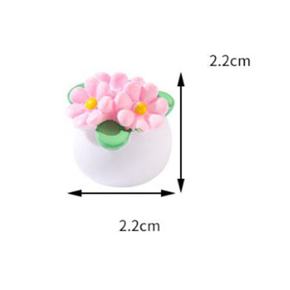 Planta en maceta en miniatura  - Bonsai Garden House reseña y precio