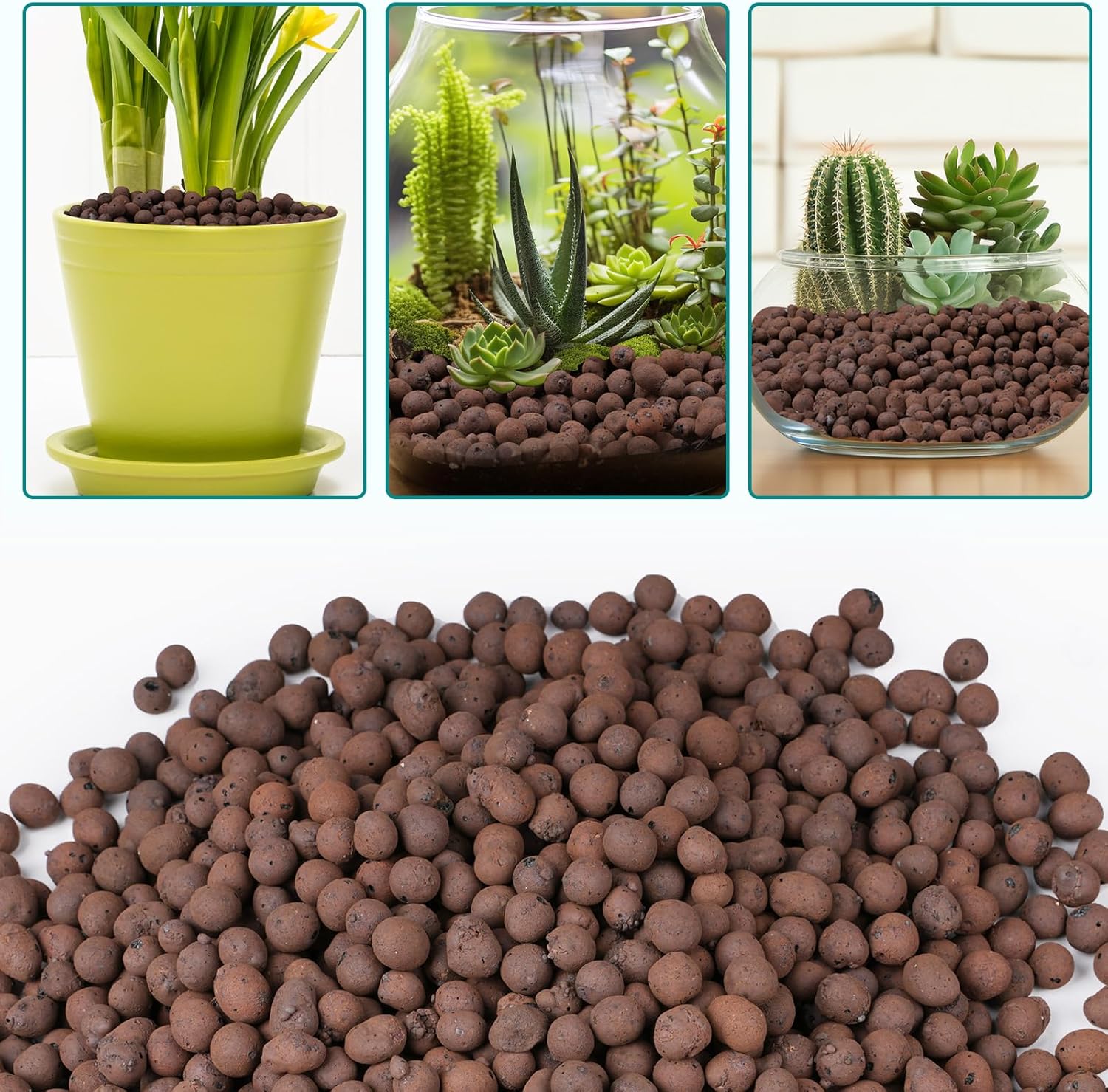 100/200G de Bolitas de Arcilla - Sphagnum Moss Bag reseña y precio