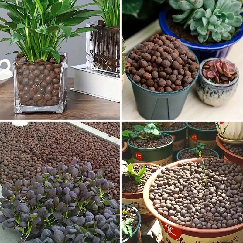 100/200G de Bolitas de Arcilla - Sphagnum Moss Bag reseña y precio