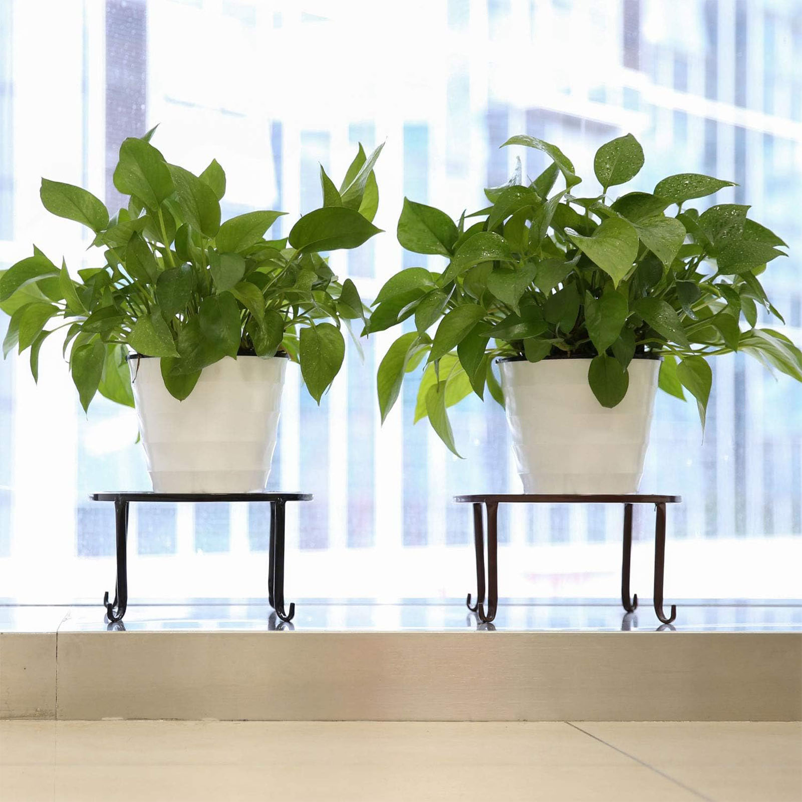 Soporte de Metal para plantas, - Bonsai Garden Display Stands reseña y precio