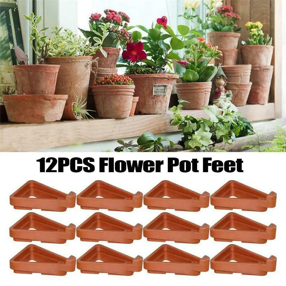 Soporte para Bonsái, Base para - Bonsai Garden Display Stands reseña y precio