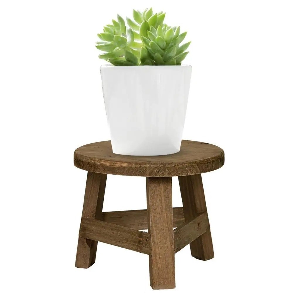 Soporte Moderno para Bonsáis,  - Bonsai Garden Display Stands reseña y precio