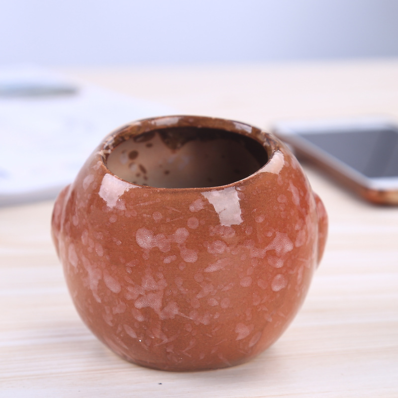 Mini Maceta de Cerámica con Fo - Bonsai Garden Wall reseña y precio
