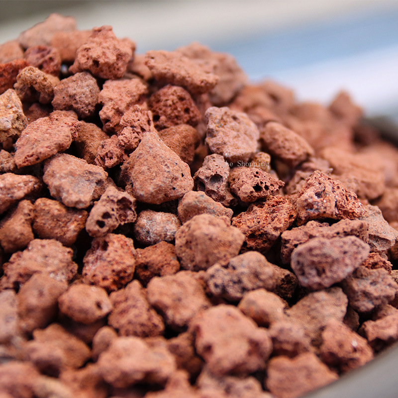 500g/1000g roca volcánica roja - Sphagnum Moss Bag reseña y precio
